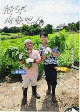 大唐风华